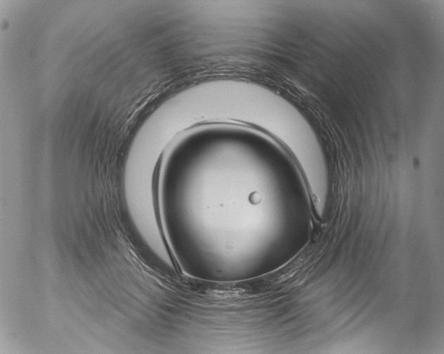 X0000053160556200508012339