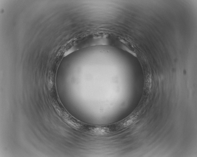 X0000053160566200508012339