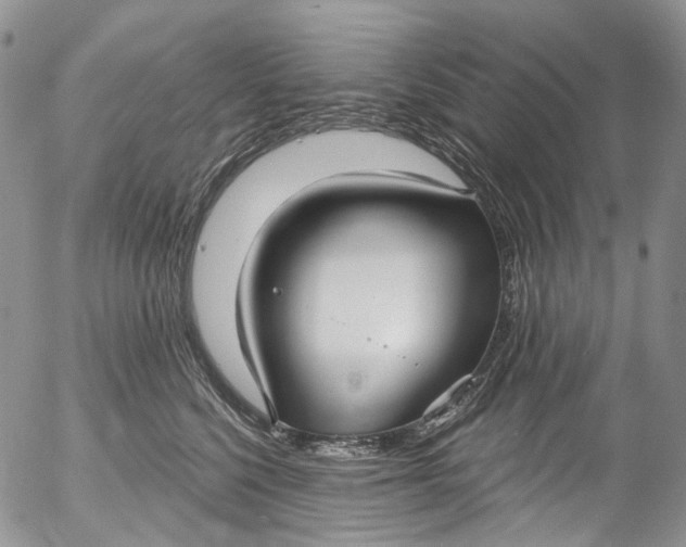 X0000053160568200508012339