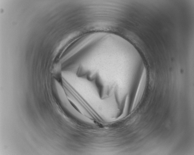 X0000053160578200508012338