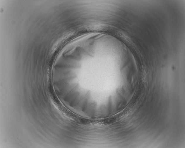 X0000053160586200508012338