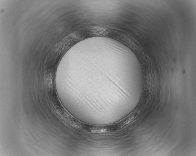 X0000053160602200508012338