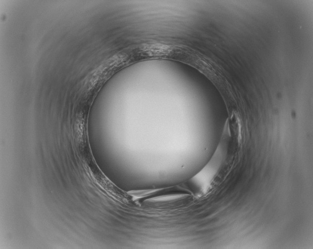 X0000053160604200508012338