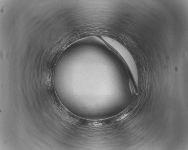 X0000053160607200508012338