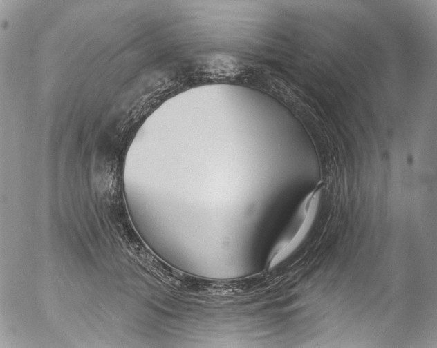 X0000053160608200508012338