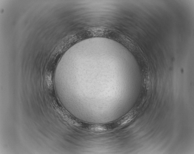 X0000053160610200508012338