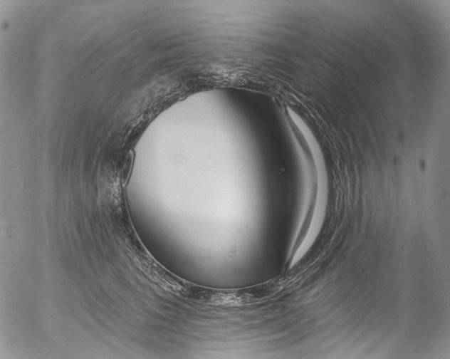 X0000053160613200508012338