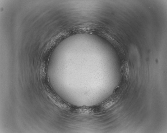 X0000053160615200508012338