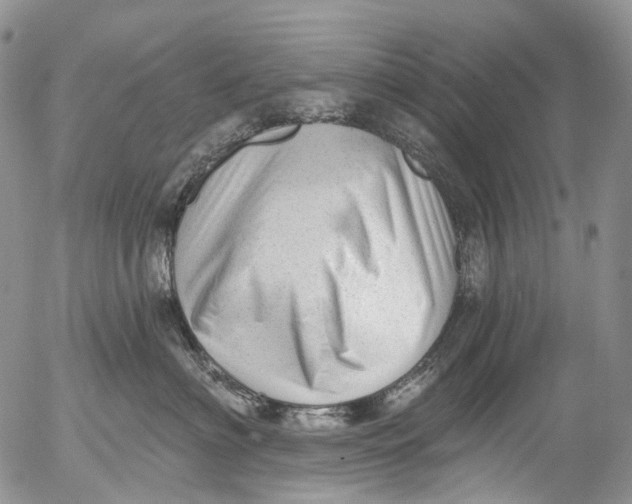 X0000053160622200508012337
