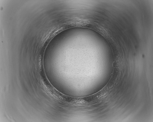 X0000053160642200508012337