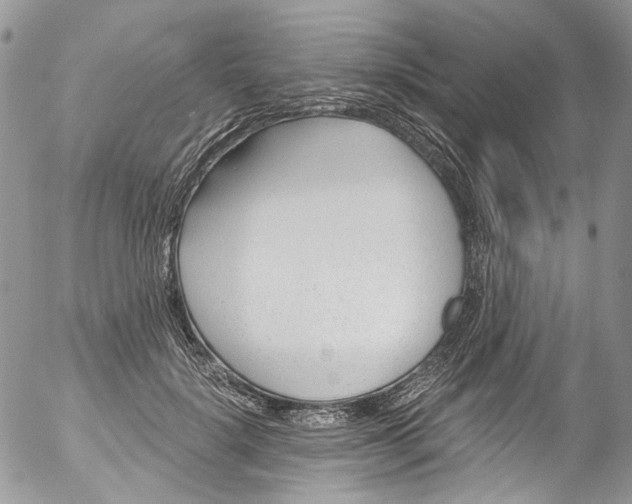 X0000053160652200508012337
