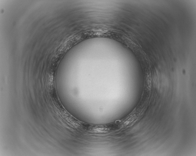 X0000053160657200508012337
