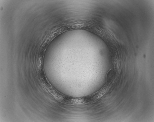 X0000053160660200508012337