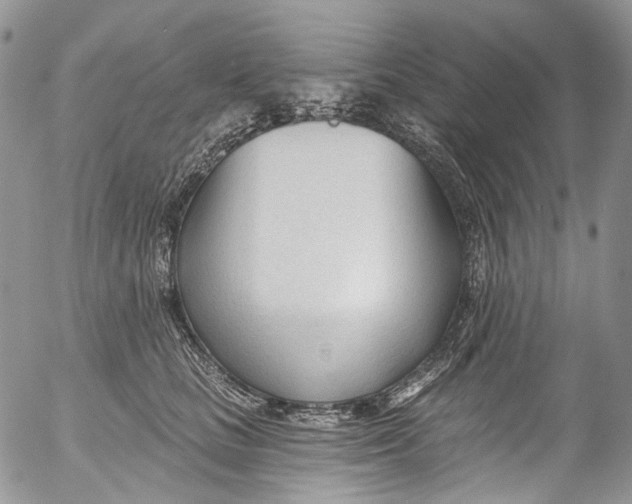 X0000053160661200508012337