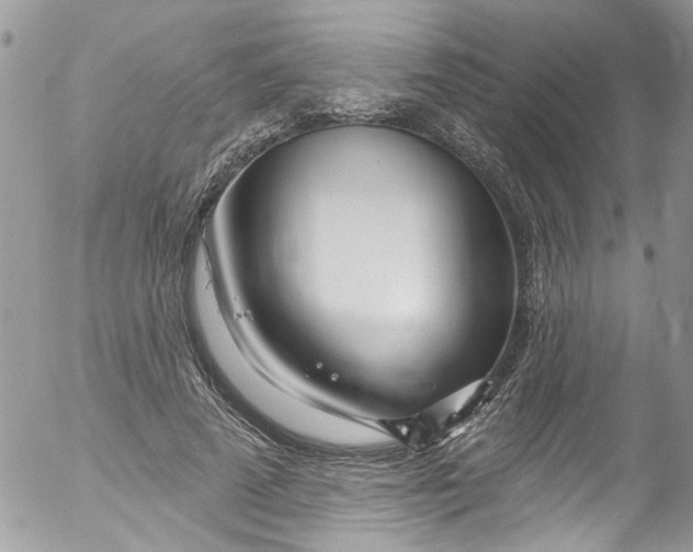 X0000053160689200508012336