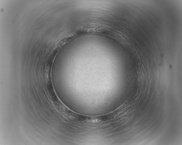 X0000053160695200508012336