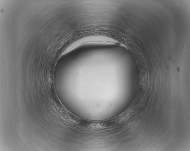 X0000053160704200508012336