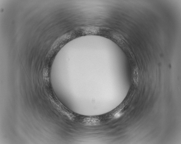X0000053160714200508012336