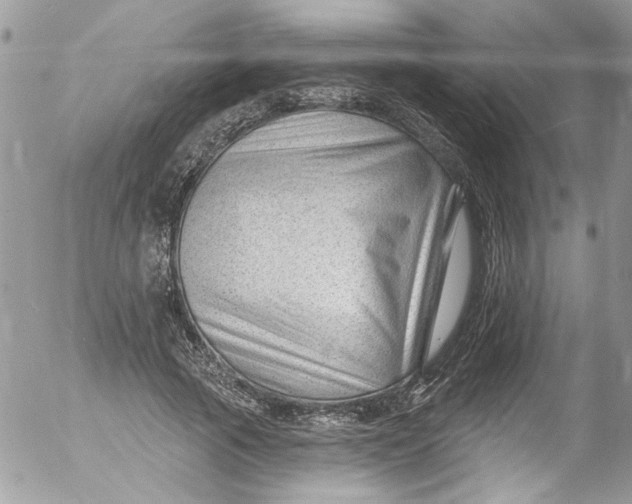 X0000053160737200508012335