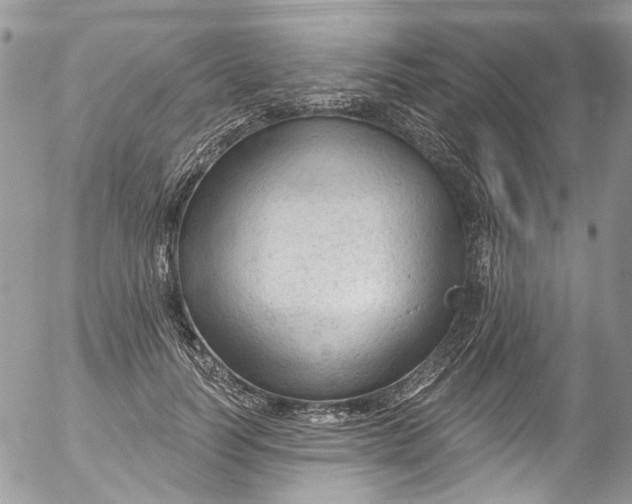 X0000053160746200508012335