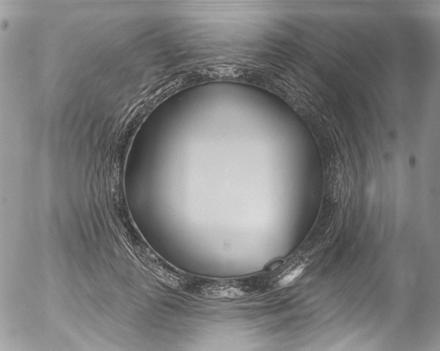X0000053160747200508012335