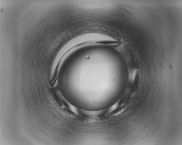 X0000053160750200508012335