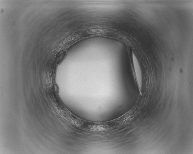 X0000053160751200508012335