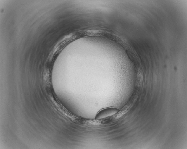 X0000053160765200508012336