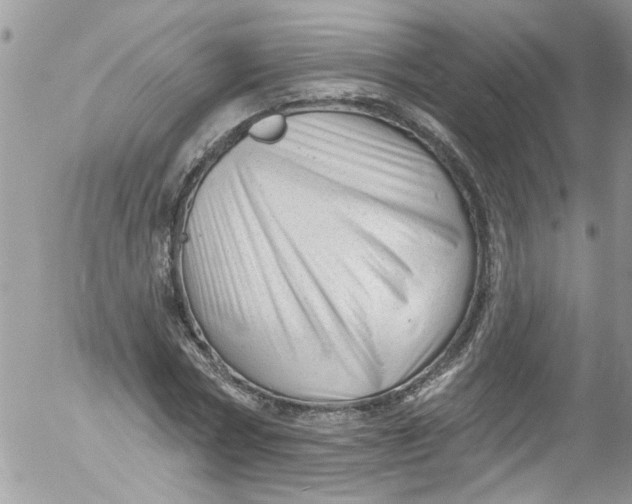X0000053160778200508012335