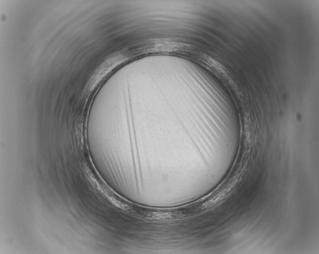 X0000053160794200508012334
