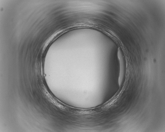 X0000053160796200508012334