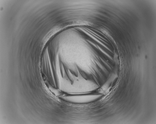 X0000053160797200508012334