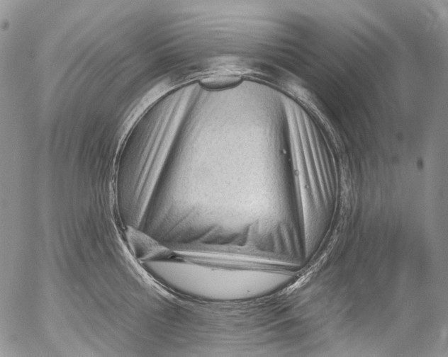 X0000053160810200508012334
