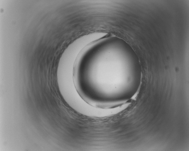 X0000053160818200508012333