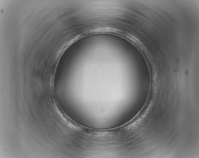 X0000053160849200508012334