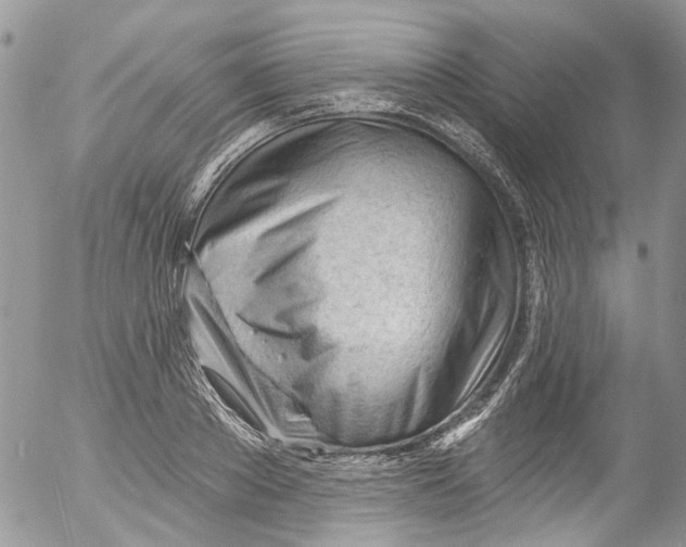 X0000053160889200508012333