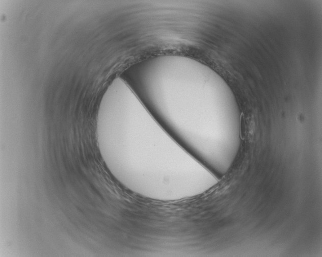 X0000053160916200508012332