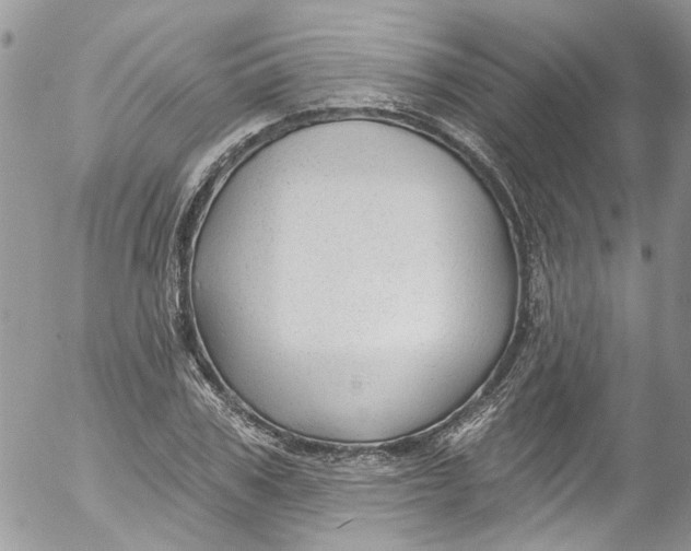 X0000053160979200508012331