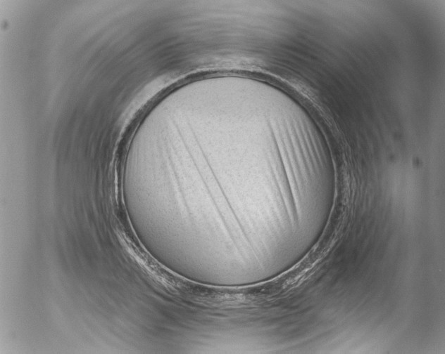 X0000053160982200508012331