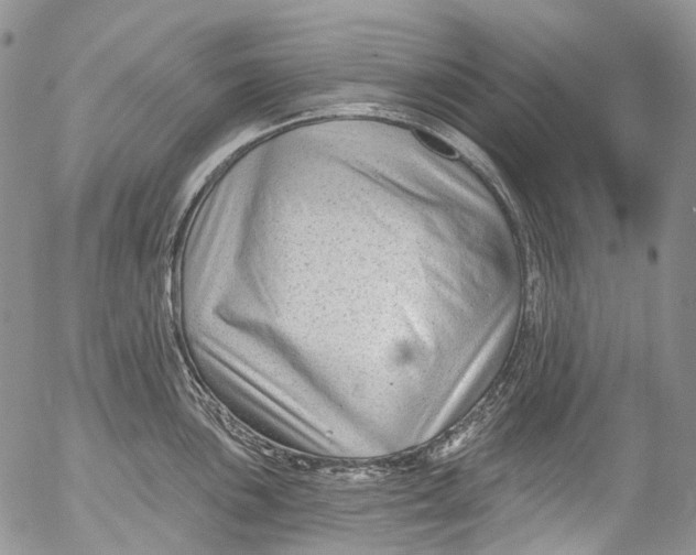 X0000053161051200508012331