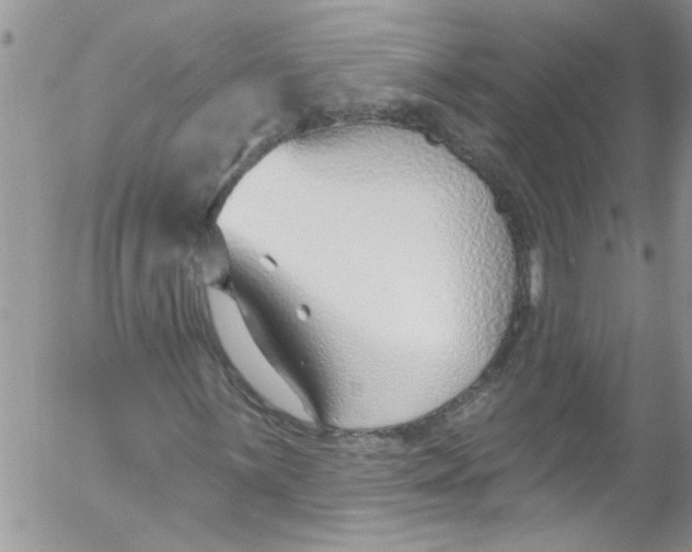 X0000053161059200508012330