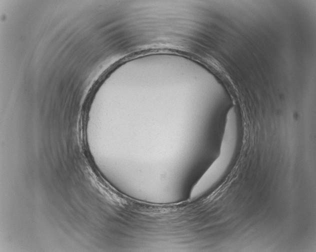 X0000053161076200508012330