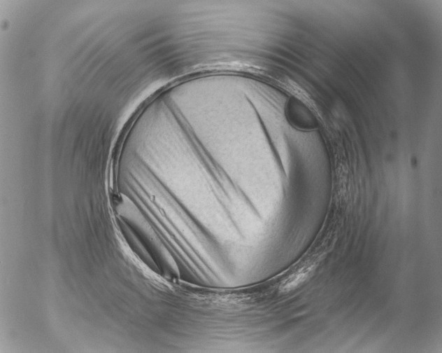 X0000053161084200508012330