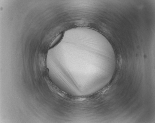 X0000053161154200508012328