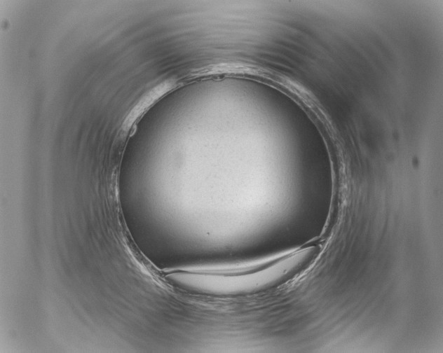 X0000053161241200508012327