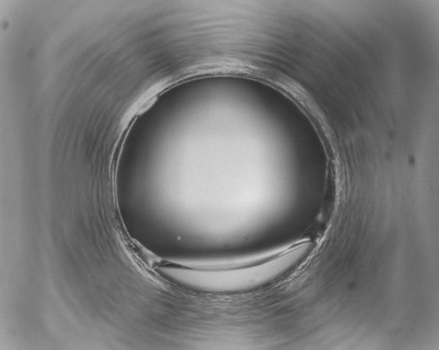 X0000053161242200508012328