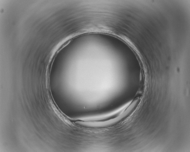 X0000053161246200508012328