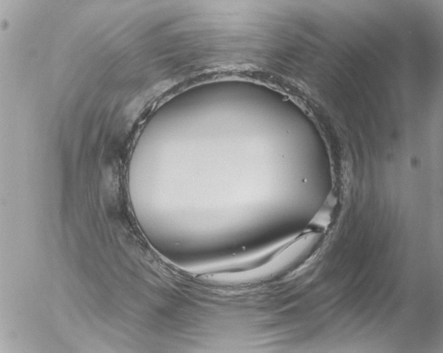 X0000053161257200508012327