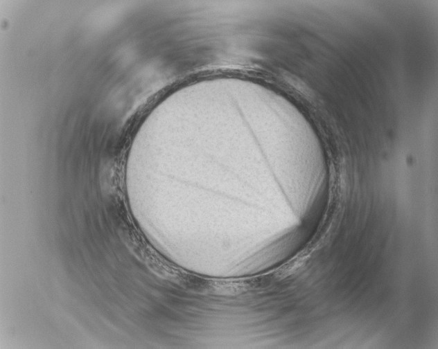 X0000053161258200508012327