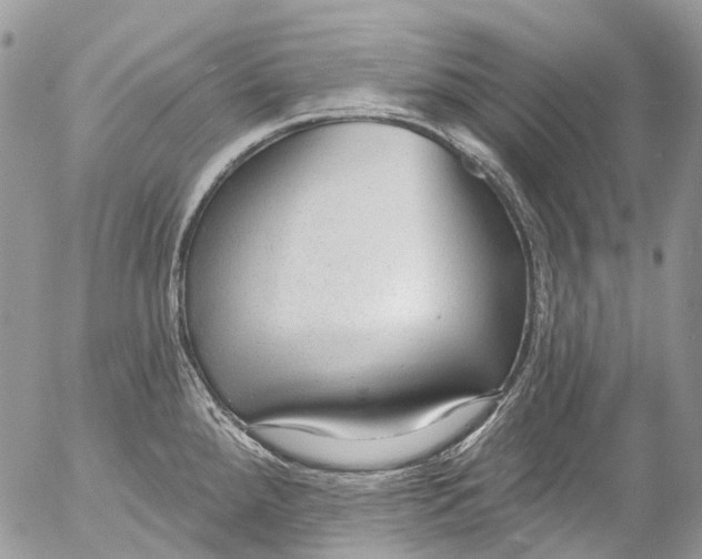 X0000053161288200508012326
